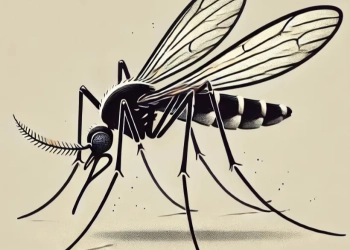 Alerta de Saúde no RJ: 810 Casos Prováveis de Dengue Apenas nas Primeiras Semanas de 2025