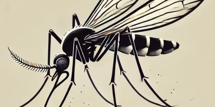 Alerta de Saúde no RJ: 810 Casos Prováveis de Dengue Apenas nas Primeiras Semanas de 2025