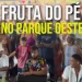 Não percam!! Fruta do Pé Agita o Parque Oeste com Samba e Alegria Neste Sábado
