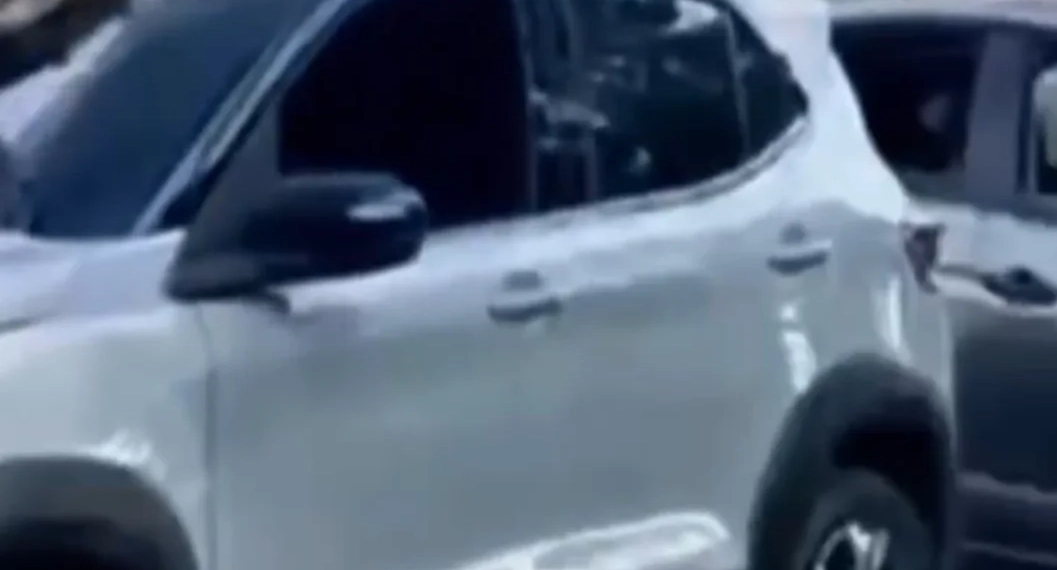 ( Video) Policia prende cinco milicianos e arsenal de guerra em Santa Cruz