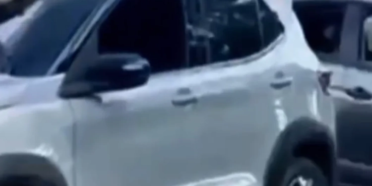 ( Video) Policia prende cinco milicianos e arsenal de guerra em Santa Cruz