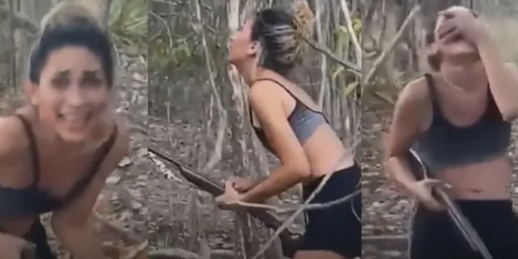 Mulher que Matou Onça-Parda rara, mora na Zona Oeste do Rio e é multada pelo Ibama