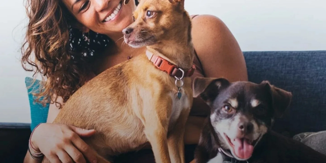 Castração Gratuita de Pets: Prefeitura do Rio Divulga Novo Calendário de Agendamentos