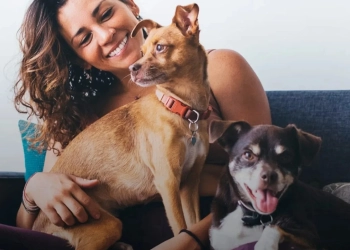 Castração Gratuita de Pets: Prefeitura do Rio Divulga Novo Calendário de Agendamentos