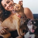 Castração Gratuita de Pets: Prefeitura do Rio Divulga Novo Calendário de Agendamentos