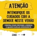 Intensifique os Cuidados para Evitar a Dengue