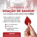 Campanha de Doação de Sangue no hospital Rocha Faria em Campo Grande: Sua Ajuda Pode Salvar Vidas!