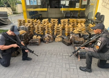 1,5 Tonelada de Maconha Escondida em Caminhão de Frangos é Apreendida no Rio