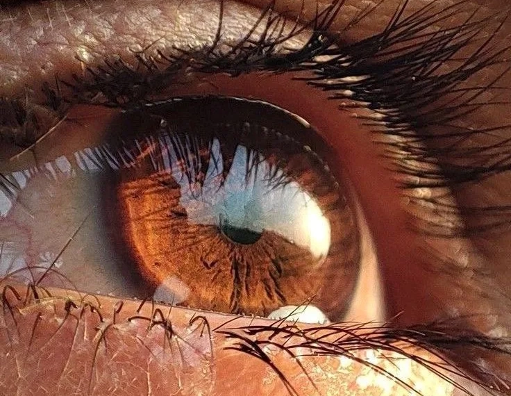 Urgente!!Ozempic e Mounjaro Podem Causar Perda Parcial da Visão, Aponta Estudo  Os medicamentos Ozempic e Mounjaro