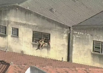 Incêndio em fábrica de fantasias: Polícia encontra ligações clandestinas de energia