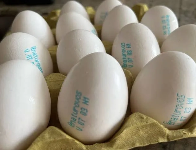 Governo Lula Determina Carimbo Obrigatório em Ovos a Partir de Março