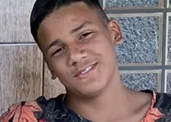 Jovem é atacado por 4,5 mil abelhas e pede socorro: “Tá queimando”