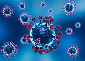 Novo Coronavírus Descoberto na China Pode Causar Outra Pandemia, Alertam Cientistas