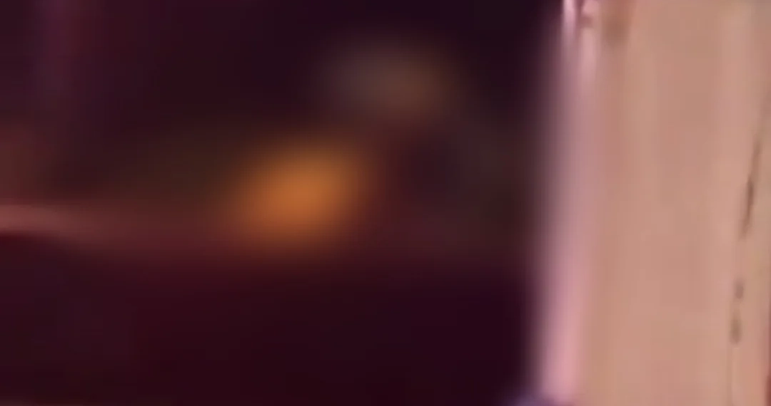 ( Video) Casal fez a Mangueira entrar em camarote da Sapucaí e causa revolta e viraliza na web