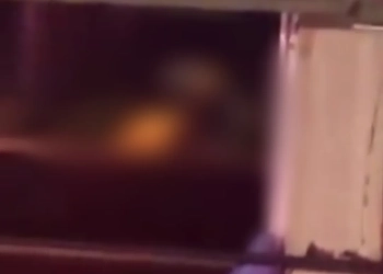 ( Video) Casal fez a Mangueira entrar em camarote da Sapucaí e causa revolta e viraliza na web