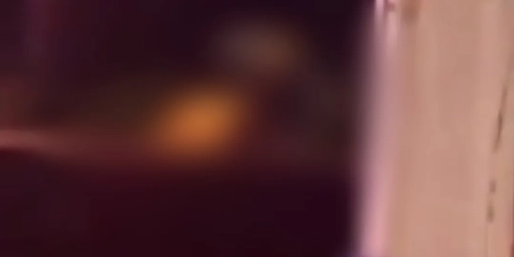 ( Video) Casal fez a Mangueira entrar em camarote da Sapucaí e causa revolta e viraliza na web