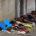 Apagão e Calor Extremo: Moradores Dormem na Rua em Cosmos