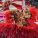 Viradouro brilha e conquista dois Estandartes de Ouro com seu casal icônico