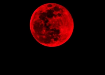 Céu Espetacular! Eclipse Lunar Irá Encantar na Madrugada de Hoje para Amanhã