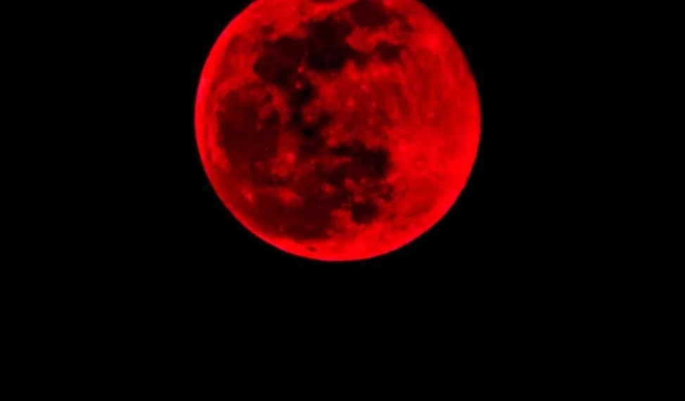 Céu Espetacular! Eclipse Lunar Irá Encantar na Madrugada de Hoje para Amanhã