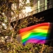 25 de Março: Dia Nacional do Orgulho Gay – Um Marco na Luta por Igualdade e Respeito