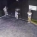 ( Video) Ex-vereador doidão saca arma da cueca atira e acaba preso após ataque em motel com três mulheres