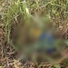 URGENTE!! ( VIDEOS) CORPO ENCONTRADO EM CAMPO GRANDE COM SINAIS DE EXECUÇÃO