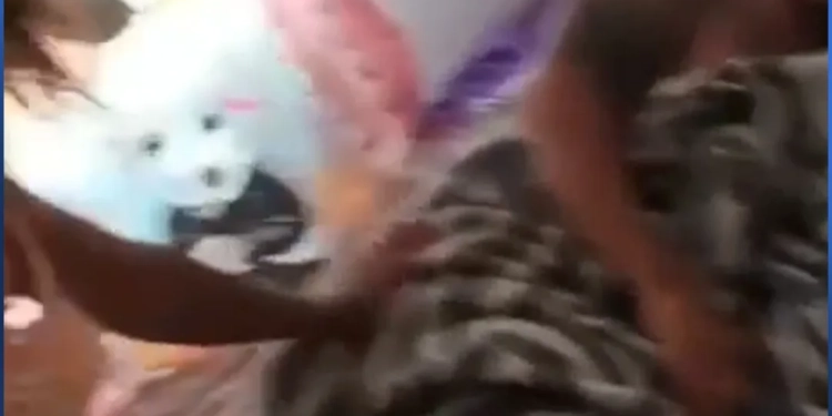 ( Video) Mulher Flagra Marido com a Própria Sogra e Cena Termina em Confusão