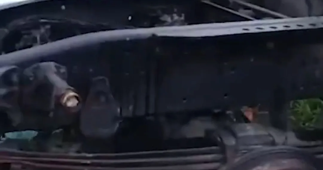 ( Video) Polícia Civil Fecha Desmanche de Caminhões em Itaguaí e Prende Quatro Suspeitos