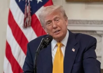Tarifas de Trump atingem ilhas desabitadas e territórios povoados por pinguins