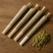 Brasil já soma quase 3 milhões de usuários de maconha