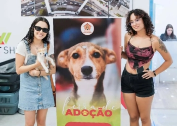 West Shopping recebe Feiras de Adoção de Cães e Gatos