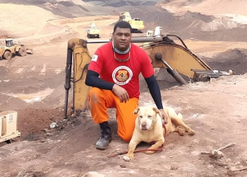 Descanse em paz!!Thor, Cão que Atuou no Resgate de Brumadinho, Morre aos 12 Anos