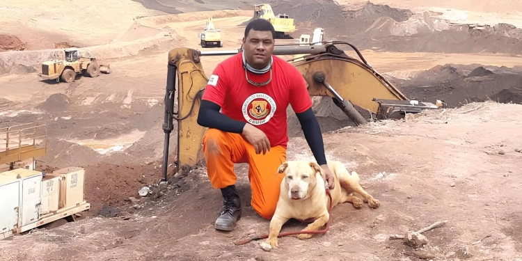 Descanse em paz!!Thor, Cão que Atuou no Resgate de Brumadinho, Morre aos 12 Anos