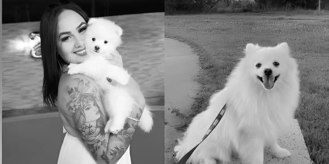 Crueldade por vingança: homem mata cachorro da ex-companheira após fim de relacionamento