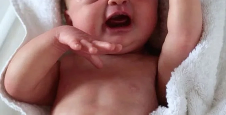 Surto Reborn? Deputados propõem programa de saúde mental para ‘pais’ de bonecos que vivem como bebês reais