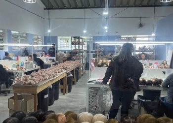 Mercado em expansão!! Fábrica de bebês reborn vende 300 “recém-nascidos” por mês