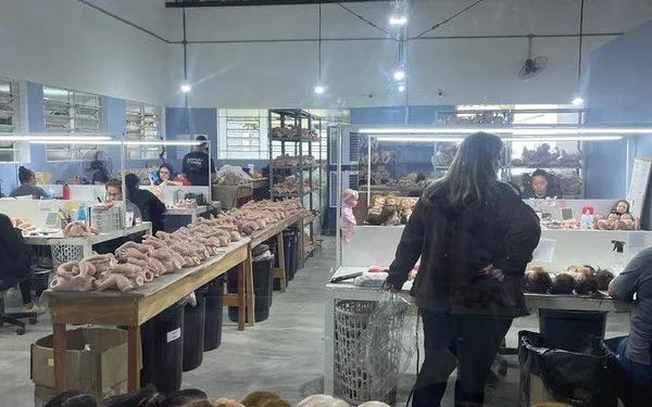 Mercado em expansão!! Fábrica de bebês reborn vende 300 “recém-nascidos” por mês