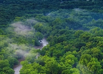 Pais europeu Choca o Mundo ao Anunciar Prisão de Segurança Máxima no Coração da Amazônia