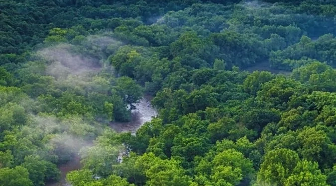 Pais europeu Choca o Mundo ao Anunciar Prisão de Segurança Máxima no Coração da Amazônia
