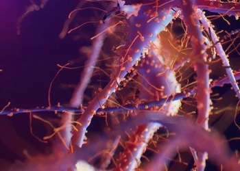 Rumo à Cura do HIV? Cientistas Desenvolvem partículas que Revelam Vírus “Escondido” no Corpo