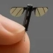 China Revela Minidrone do Tamanho de um Mosquito para Espionagem Militar Ultra-Sigilosa