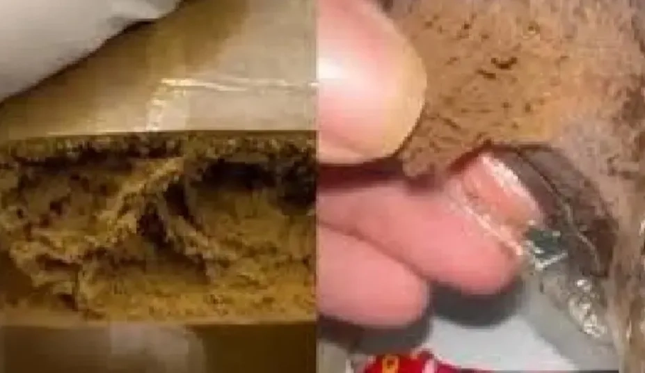 Maconha de Playboy”: Droga sofisticada assusta autoridades e se espalha entre jovens da classe média alta