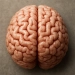 Mulher morre de aneurisma cerebral após orgasmo intenso