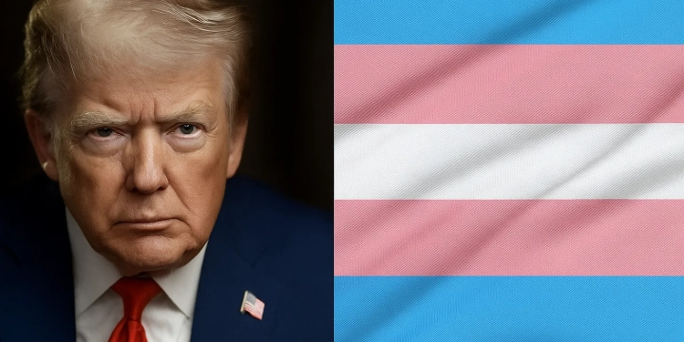 Trump bane mulheres trans dos esportes femininos: Comitê Olímpico dos EUA confirma mudança