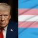 Trump bane mulheres trans dos esportes femininos: Comitê Olímpico dos EUA confirma mudança