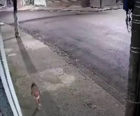 Justiça Liberta Jovem que Deixou Filha Sozinha para Ir a Baile Funk — Ré Deve Cumprir Medidas Rigorosas