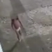 Mãe Abandona Filha de 3 Anos para Ir a Baile Funk e é Presa em Santo André
