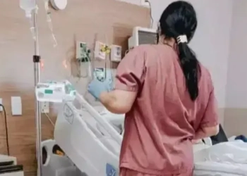 Idosa de 91 anos surpreende médicos ao voltar a respirar após reencontro com cão “Bolsonaro”