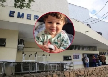 TRAGÉDIA NO RIO: BEBÊ DE 10 MESES MORRE APÓS ATAQUE DE PITBULL